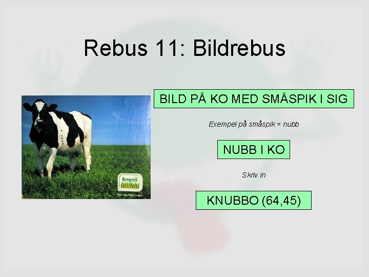 Rebus 11: Bildrebus BILD PÅ KO MED SMÅSPIK I SIG Exempel på småspik =