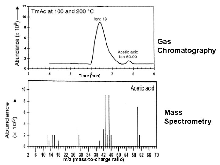 Gas Chromatography Time (min) Mass Spectrometry m/z (mass-to-charge ratio) Gas Chromatography Time (min) Mass Spectrometry m/z (mass-to-charge ratio)