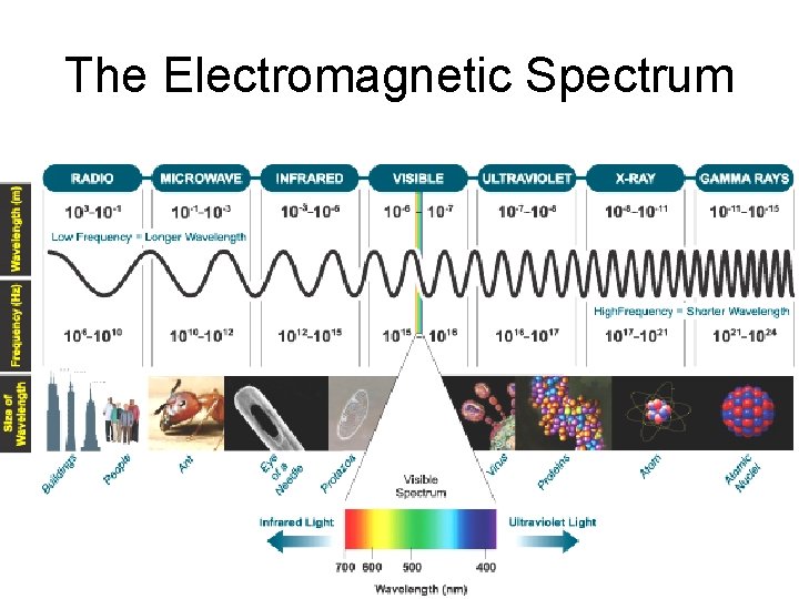 The Electromagnetic Spectrum The Electromagnetic Spectrum