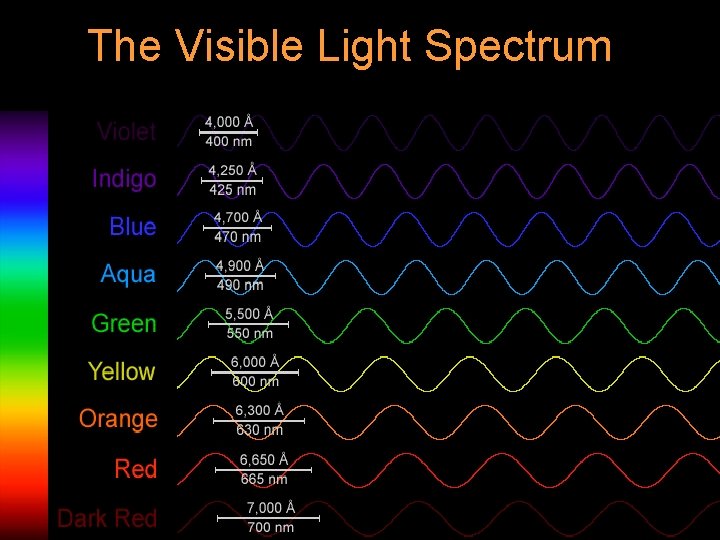 The Visible Light Spectrum The Visible Light Spectrum