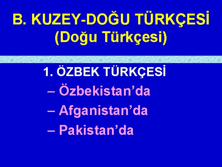 B. KUZEY-DOĞU TÜRKÇESİ (Doğu Türkçesi) 1. ÖZBEK TÜRKÇESİ – Özbekistan’da – Afganistan’da – Pakistan’da