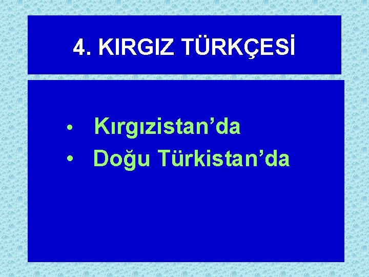 4. KIRGIZ TÜRKÇESİ • Kırgızistan’da • Doğu Türkistan’da 