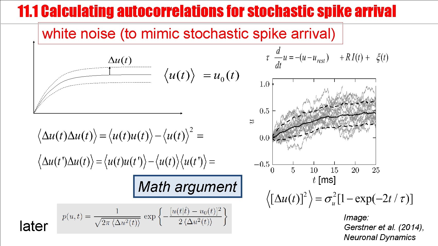 11. 1 Calculating autocorrelations for stochastic spike arrival white noise (to mimic stochastic spike