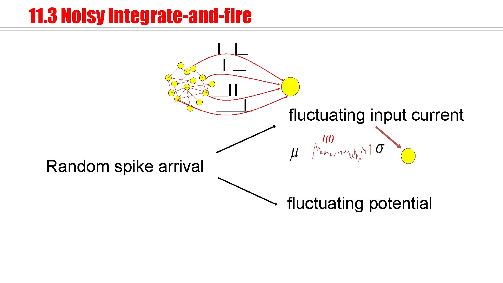 11. 3 Noisy Integrate-and-fire fluctuating input current I(t) Random spike arrival fluctuating potential 