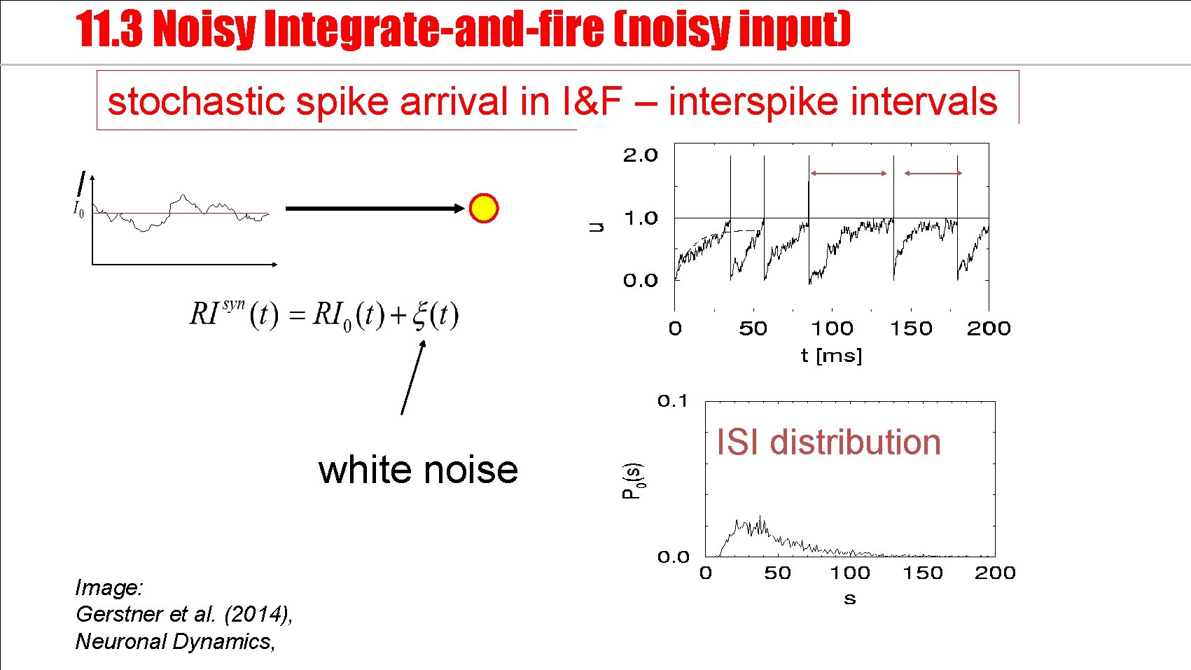 11. 3 Noisy Integrate-and-fire (noisy input) stochastic spike arrival in I&F – interspike intervals