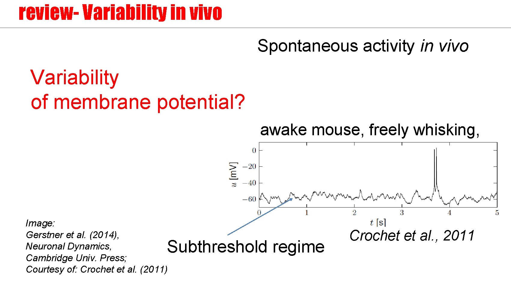 review- Variability in vivo Spontaneous activity in vivo Variability of membrane potential? awake mouse,