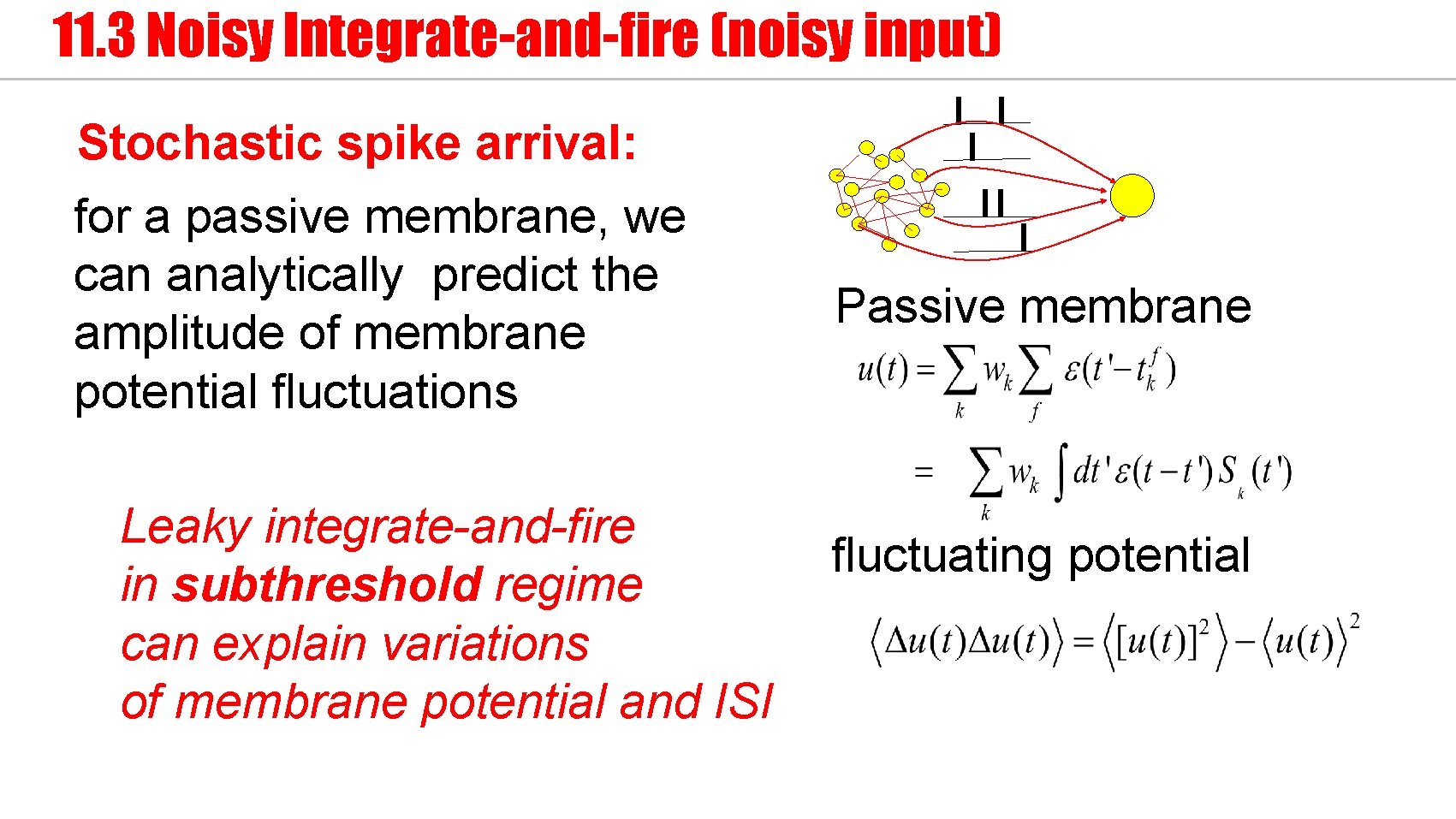 11. 3 Noisy Integrate-and-fire (noisy input) Stochastic spike arrival: for a passive membrane, we