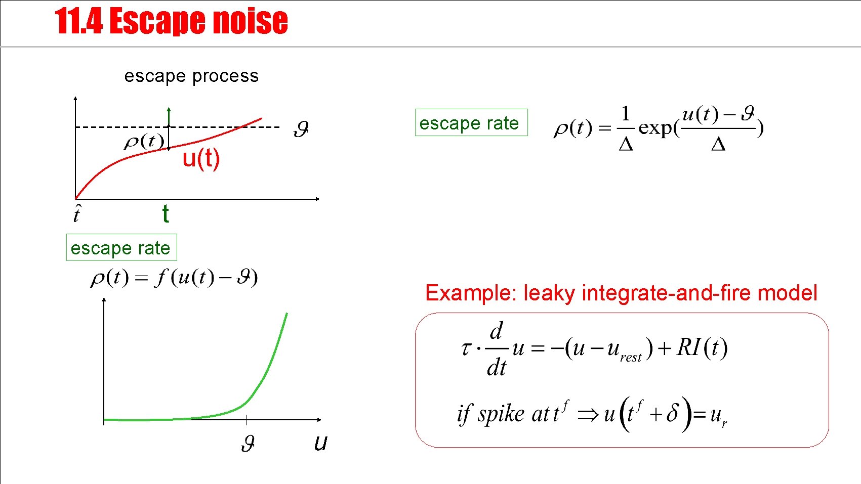 11. 4 Escape noise escape process escape rate u(t) t escape rate Example: leaky