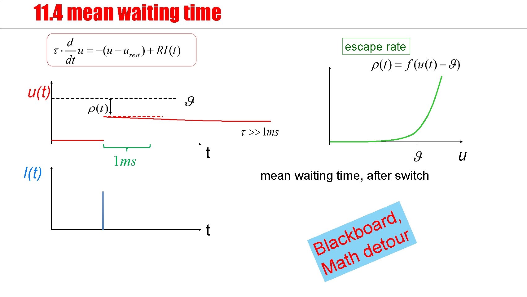 11. 4 mean waiting time escape rate u(t) I(t) 1 ms t u mean