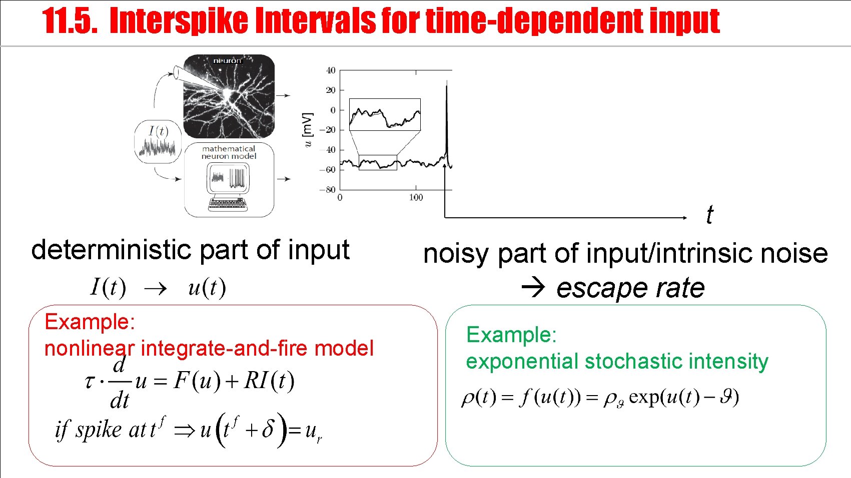 11. 5. Interspike Intervals for time-dependent input t deterministic part of input Example: nonlinear