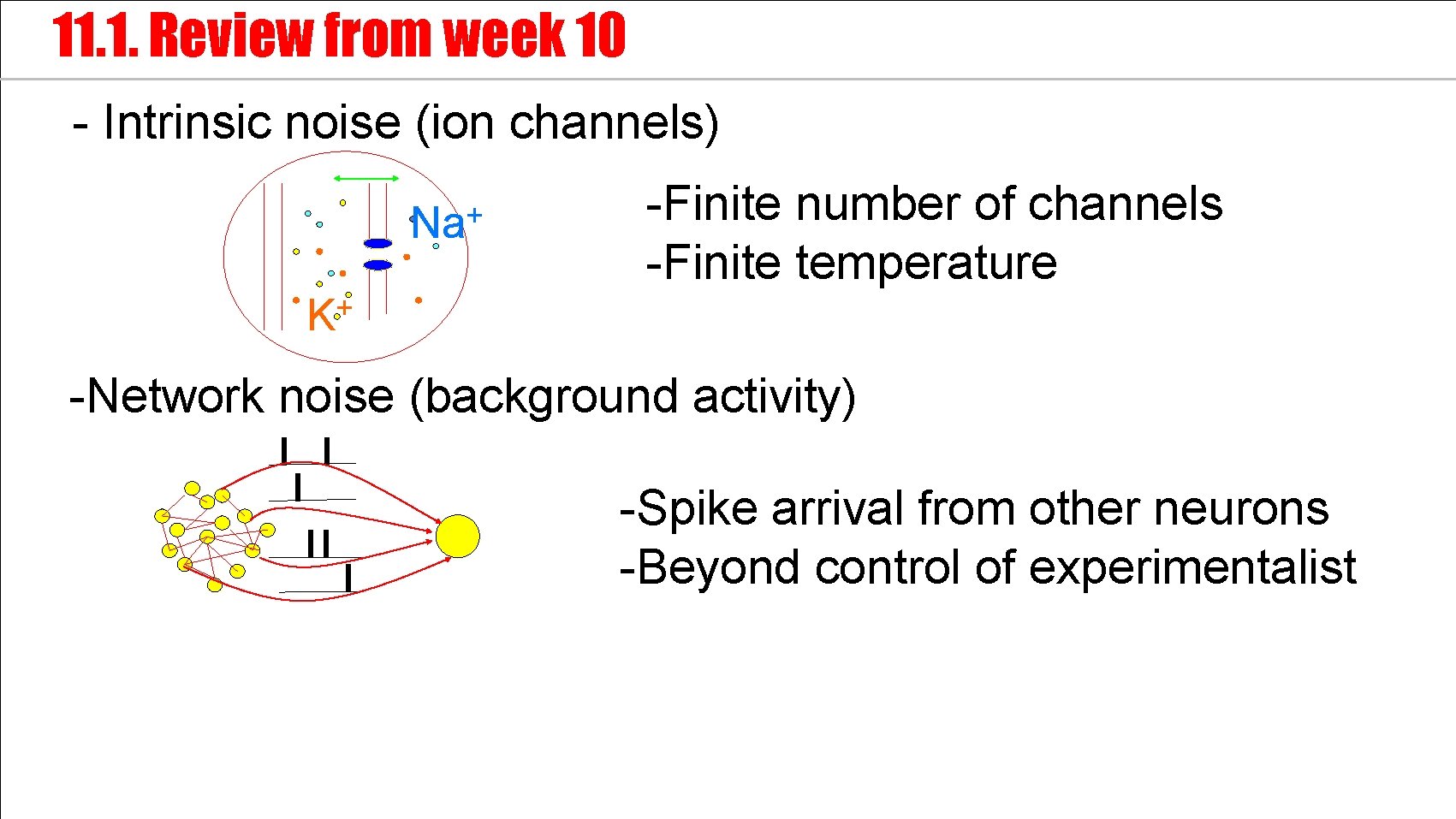 11. 1. Review from week 10 - Intrinsic noise (ion channels) + Na -Finite