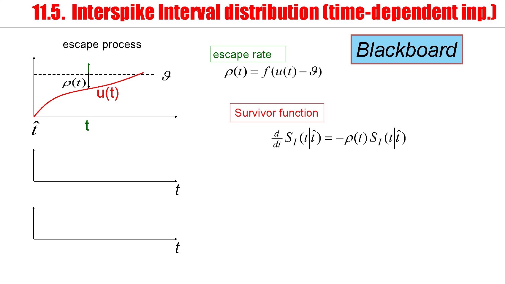 11. 5. Interspike Interval distribution (time-dependent inp. ) escape process escape rate u(t) Survivor