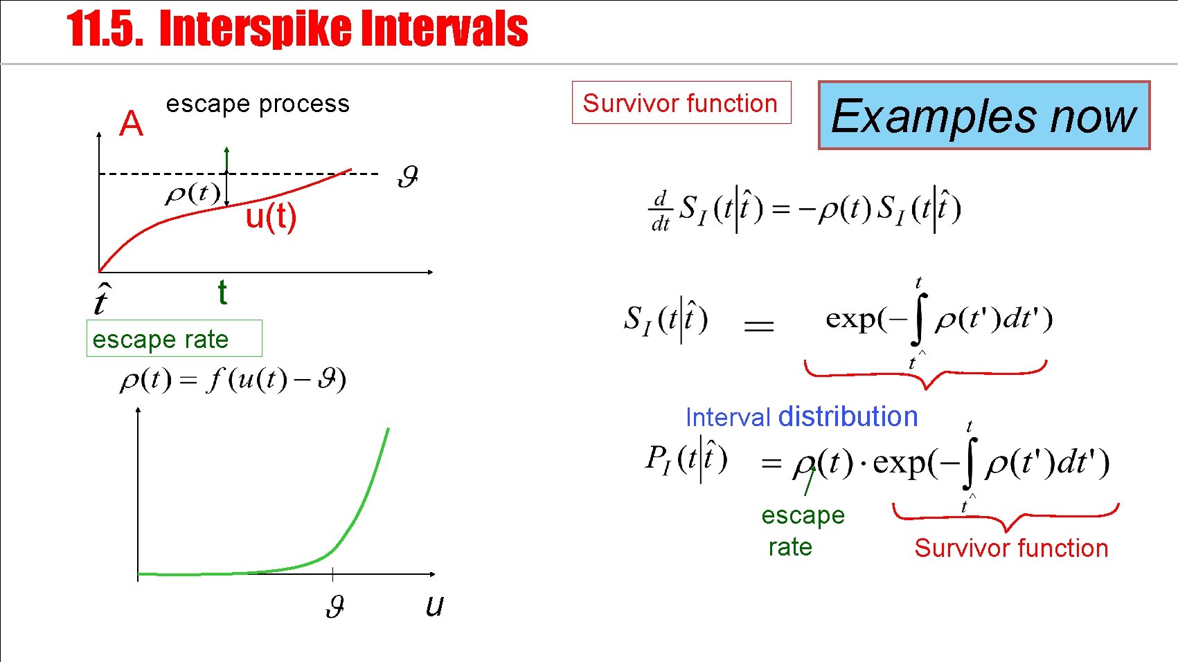 11. 5. Interspike Intervals A escape process Survivor function Examples now u(t) t escape