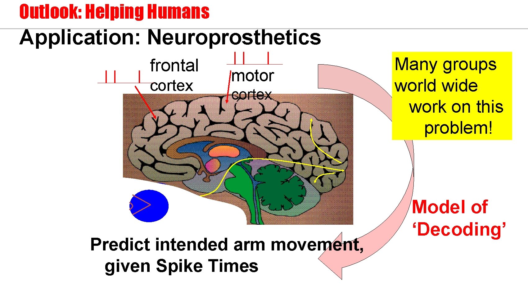Outlook: Helping Humans Application: Neuroprosthetics frontal cortex motor cortex Predict intended arm movement, given