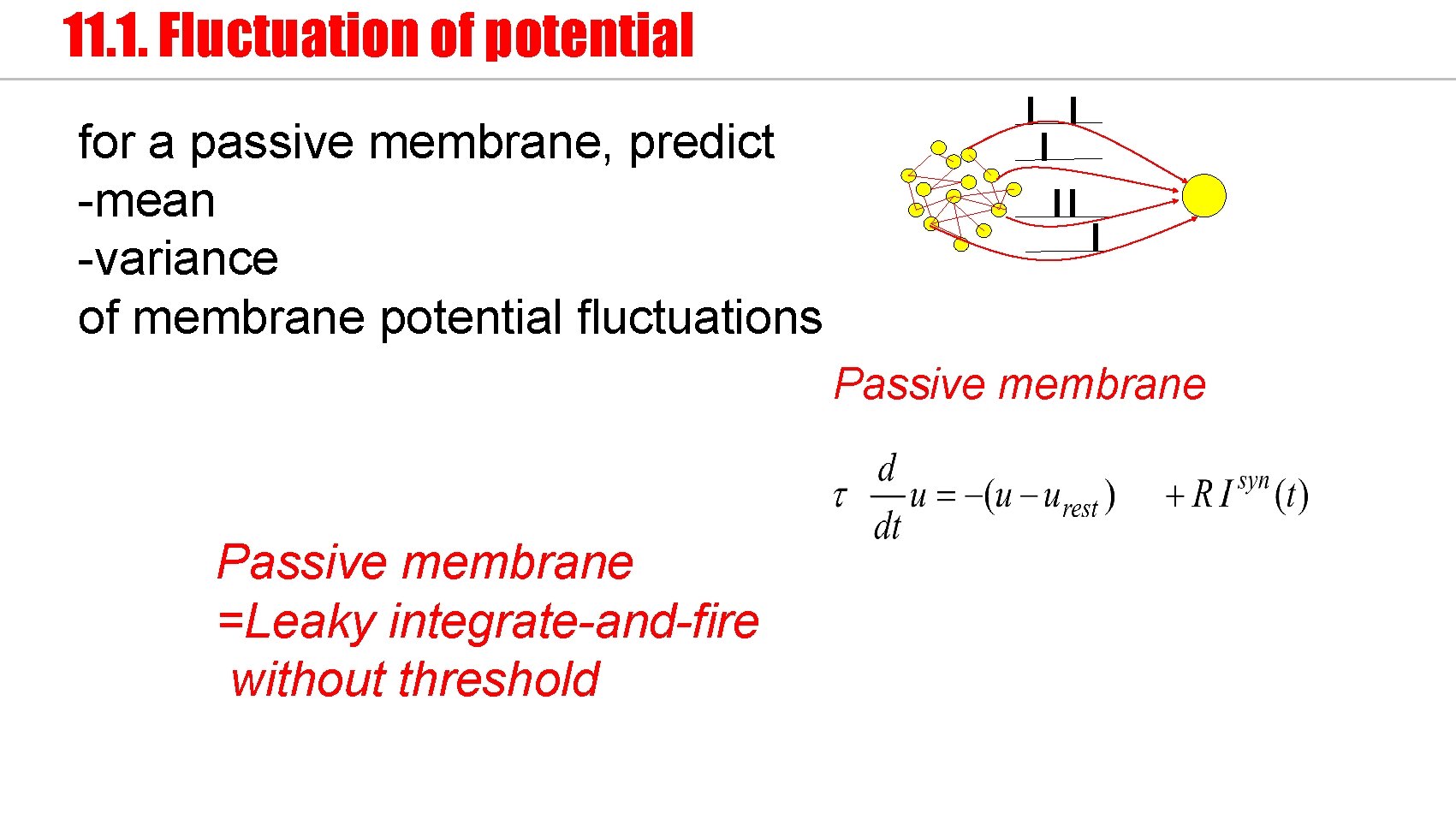 11. 1. Fluctuation of potential for a passive membrane, predict -mean -variance of membrane