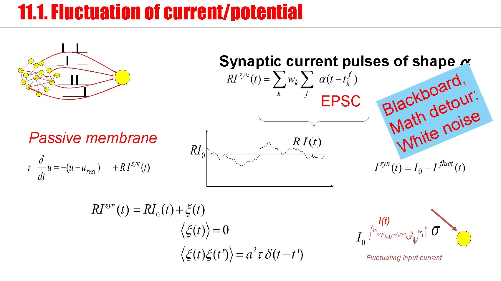 11. 1. Fluctuation of current/potential Synaptic current pulses of shape a EPSC Passive membrane