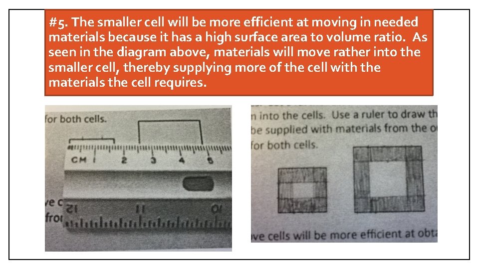 #5. The smaller cell will be more efficient at moving in needed materials because
