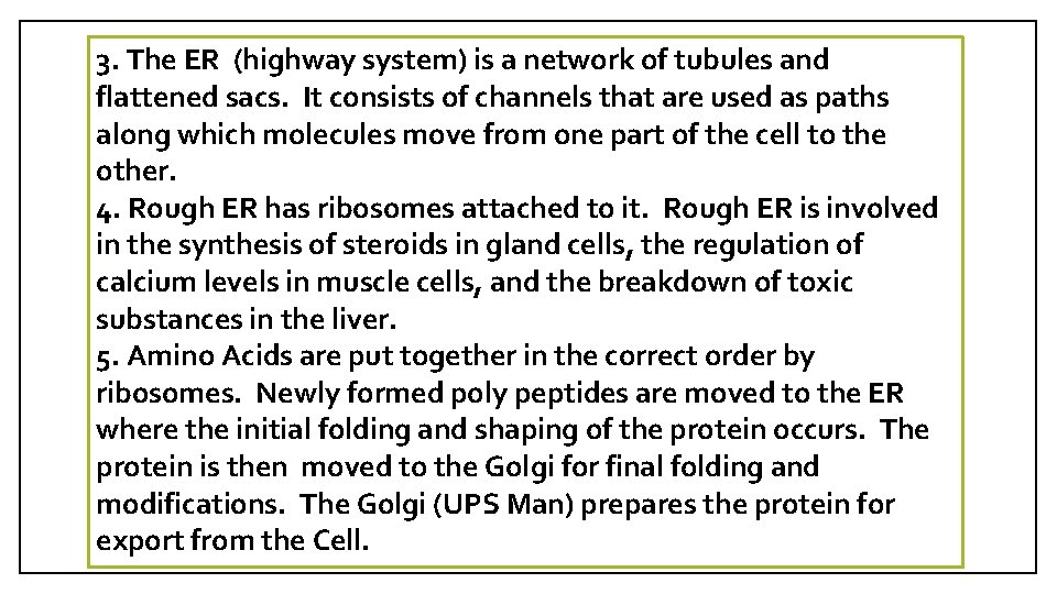 3. The ER (highway system) is a network of tubules and flattened sacs. It