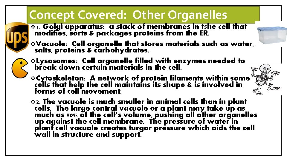 Concept Covered: Other Organelles v 1. Golgi apparatus: a stack of membranes in t