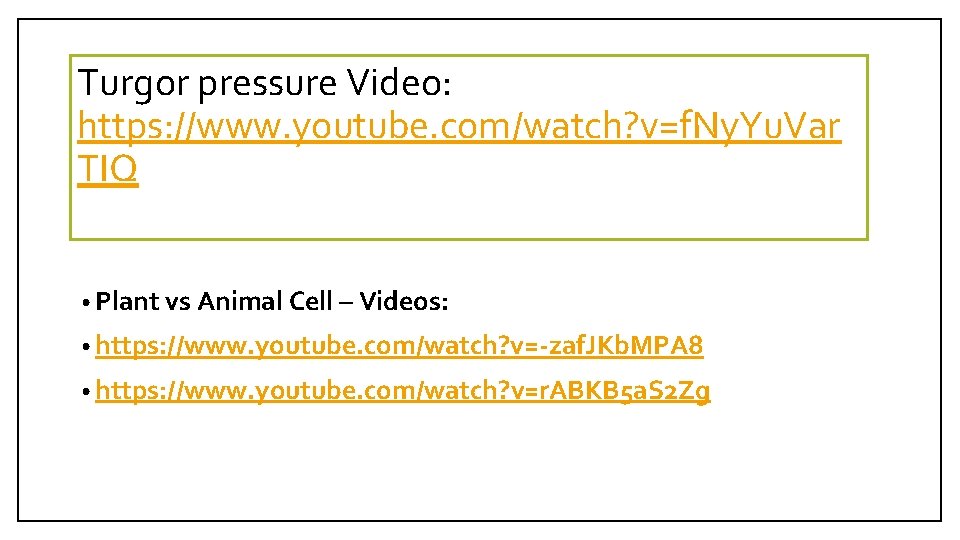 Turgor pressure Video: https: //www. youtube. com/watch? v=f. Ny. Yu. Var TIQ • Plant