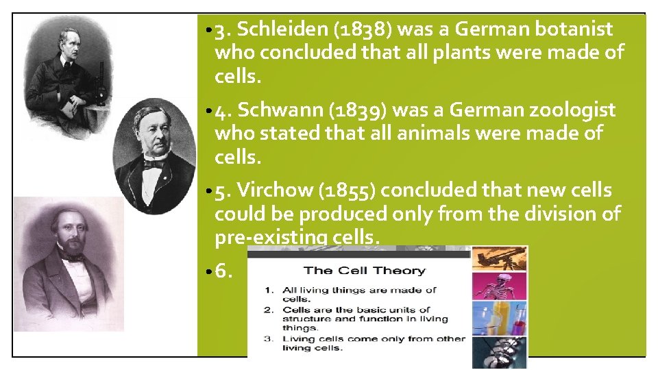  • 3. Schleiden (1838) was a German botanist who concluded that all plants