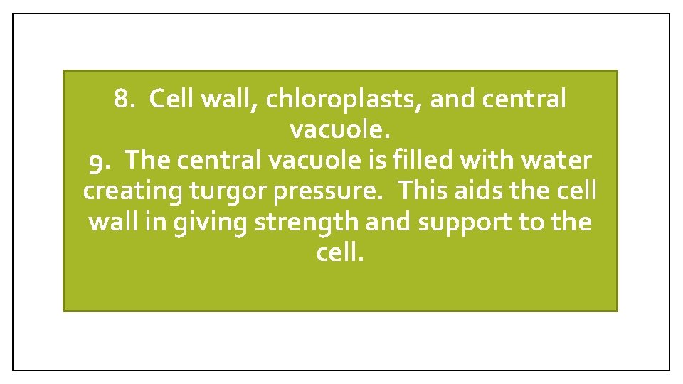 8. Cell wall, chloroplasts, and central vacuole. 9. The central vacuole is filled with