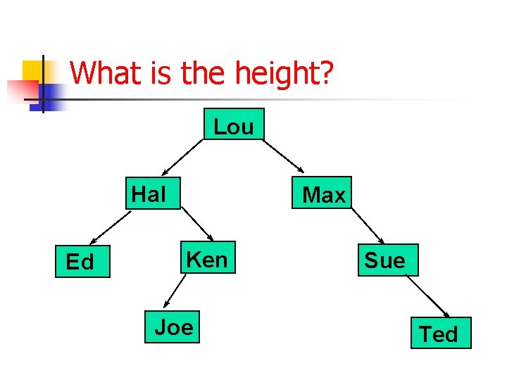 What is the height? Lou Hal Ed Max Ken Joe Sue Ted 