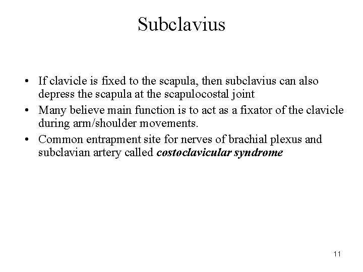 Subclavius • If clavicle is fixed to the scapula, then subclavius can also depress