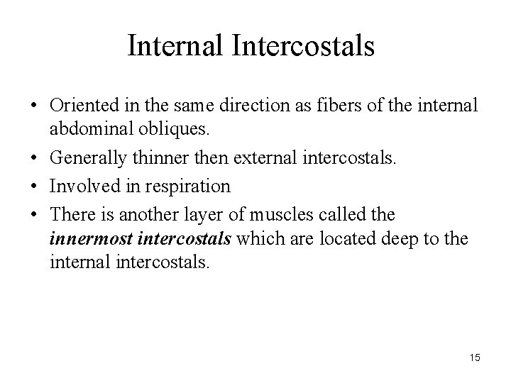 Internal Intercostals • Oriented in the same direction as fibers of the internal abdominal
