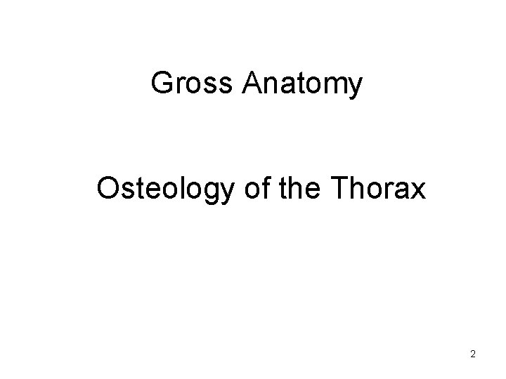 Gross Anatomy Osteology of the Thorax 2 