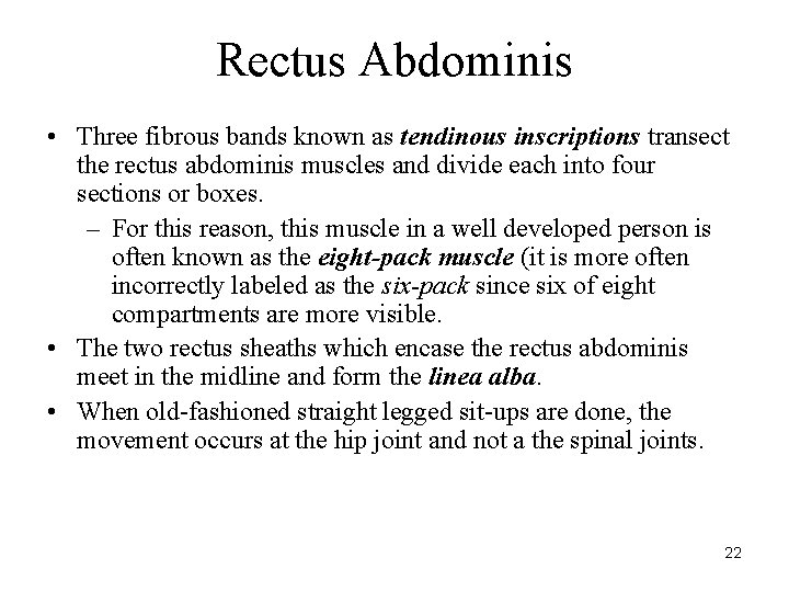 Rectus Abdominis • Three fibrous bands known as tendinous inscriptions transect the rectus abdominis
