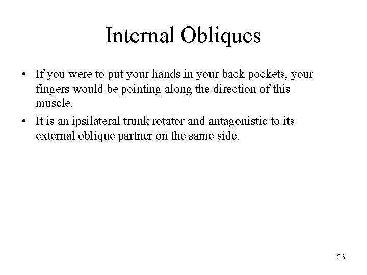 Internal Obliques • If you were to put your hands in your back pockets,