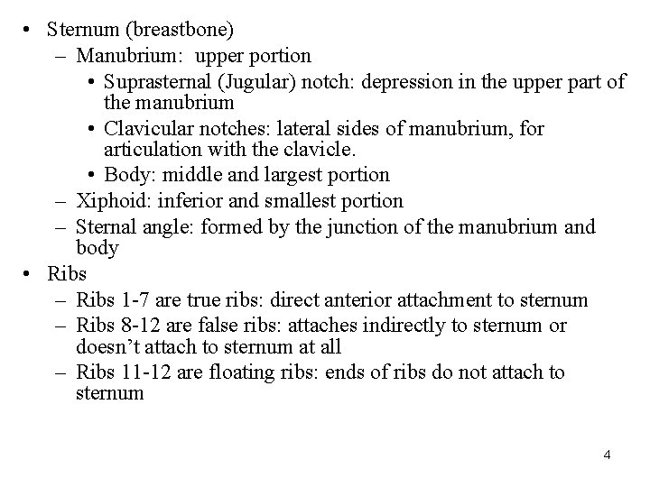  • Sternum (breastbone) – Manubrium: upper portion • Suprasternal (Jugular) notch: depression in