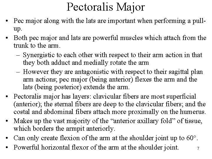 Pectoralis Major • Pec major along with the lats are important when performing a