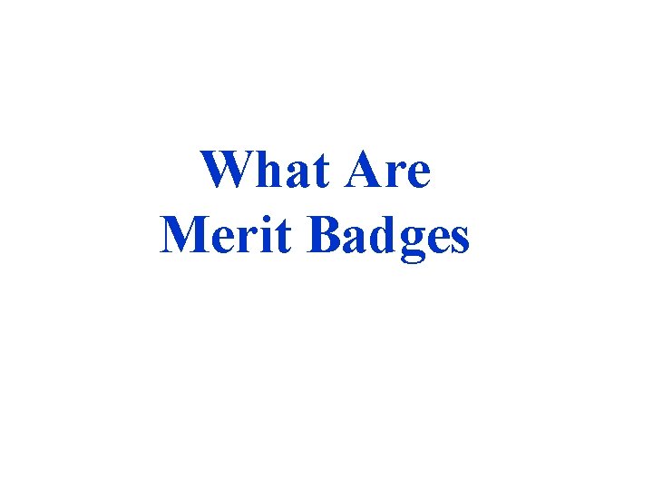 What Are Merit Badges 