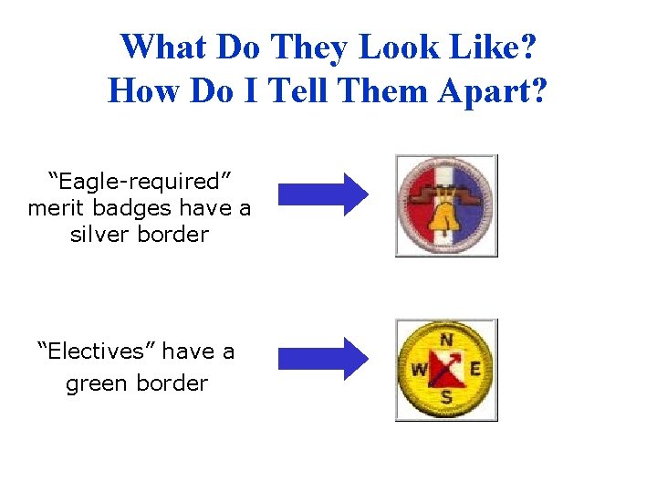 What Do They Look Like? How Do I Tell Them Apart? “Eagle-required” merit badges
