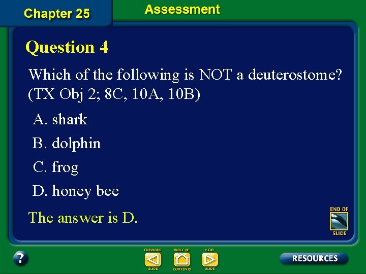 Question 4 Which of the following is NOT a deuterostome? (TX Obj 2; 8