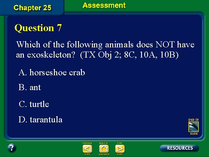 Question 7 Which of the following animals does NOT have an exoskeleton? (TX Obj