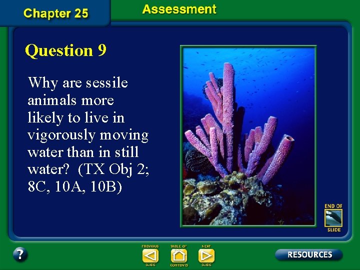 Question 9 Why are sessile animals more likely to live in vigorously moving water
