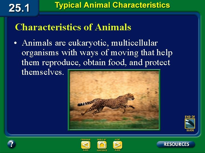 Characteristics of Animals • Animals are eukaryotic, multicellular organisms with ways of moving that