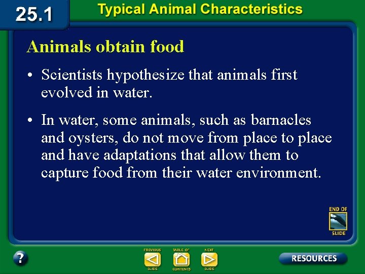 Animals obtain food • Scientists hypothesize that animals first evolved in water. • In