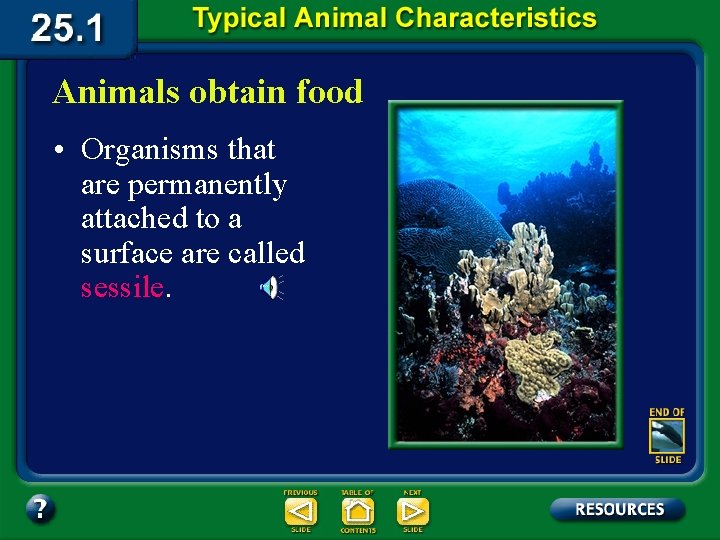 Animals obtain food • Organisms that are permanently attached to a surface are called