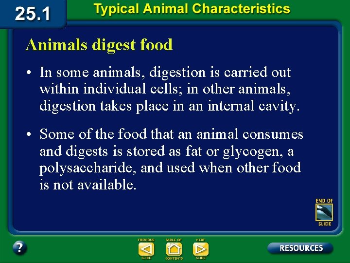 Animals digest food • In some animals, digestion is carried out within individual cells;