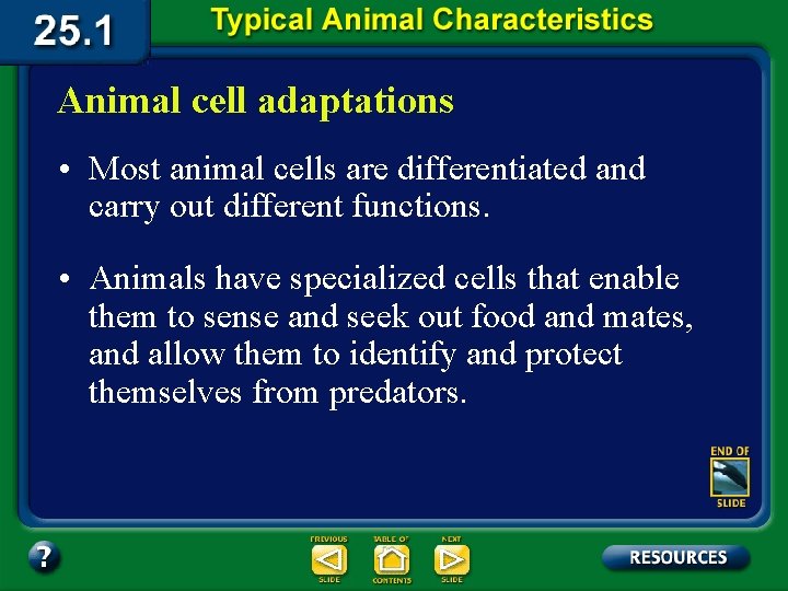 Animal cell adaptations • Most animal cells are differentiated and carry out different functions.