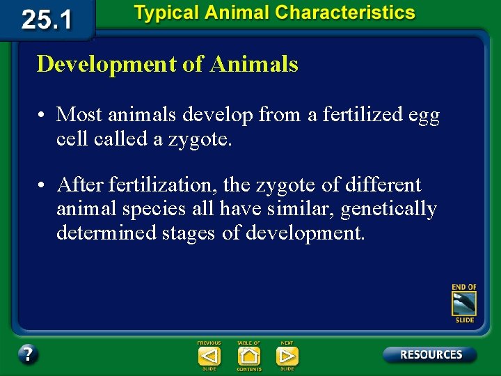 Development of Animals • Most animals develop from a fertilized egg cell called a