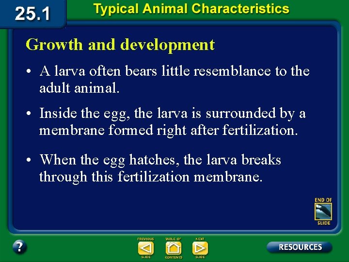 Growth and development • A larva often bears little resemblance to the adult animal.