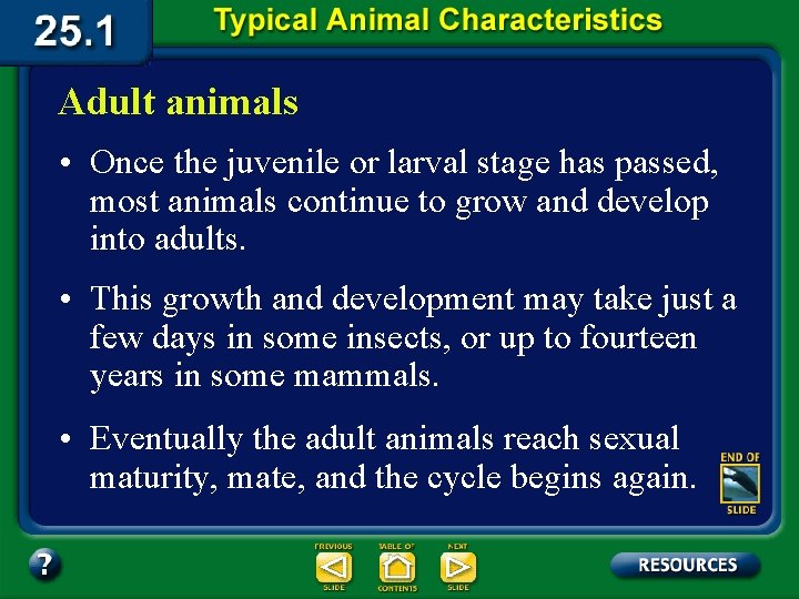 Adult animals • Once the juvenile or larval stage has passed, most animals continue