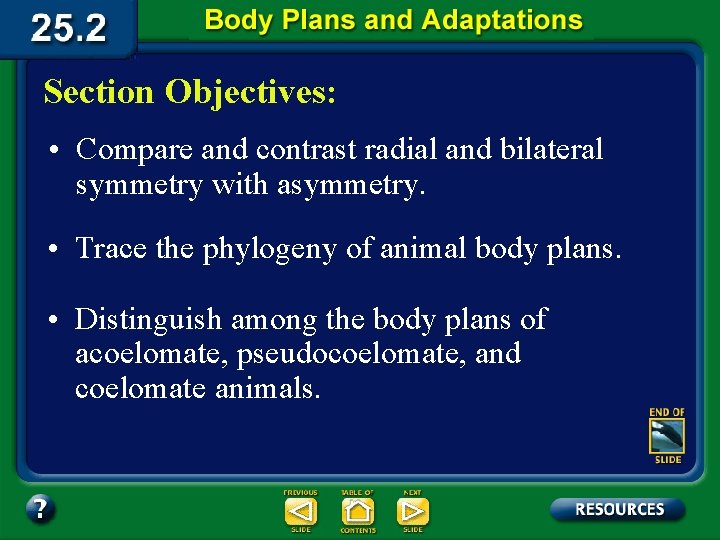 Section Objectives: • Compare and contrast radial and bilateral symmetry with asymmetry. • Trace