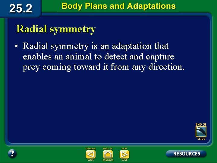 Radial symmetry • Radial symmetry is an adaptation that enables an animal to detect