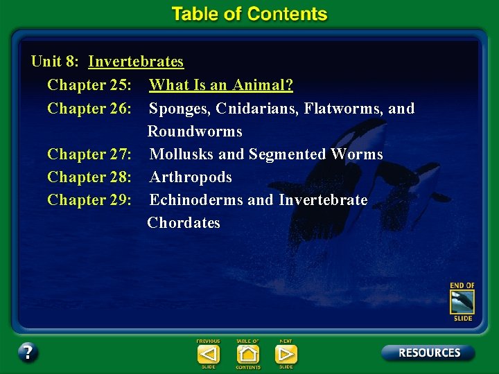 Unit 8: Invertebrates Chapter 25: What Is an Animal? Chapter 26: Sponges, Cnidarians, Flatworms,